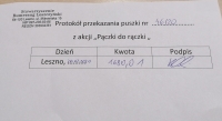 Zdjęcie: Podsumowanie akcji 
