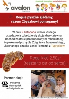 Zdjęcie: Akcja Rogalik