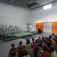 Zdjęcie: Zajęcia pokazowe karate dla 5-6 latków