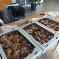 Zdjęcie: Podsumowanie Akcji Rogal dla Przedszkola
