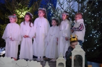 Zdjęcie: Świąteczny nadszedł czas...