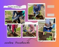 Zdjęcie: Ogród przedszkolny pięknieje
