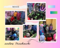 Zdjęcie: Ogród przedszkolny pięknieje