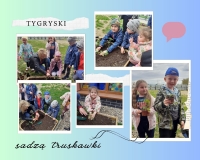 Zdjęcie: Ogród przedszkolny pięknieje