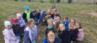 Zdjęcie: Drzewka dla przedszkola
