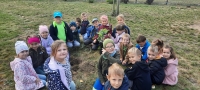 Zdjęcie: Drzewka dla przedszkola