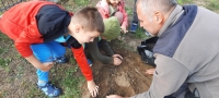 Zdjęcie: Drzewka dla przedszkola