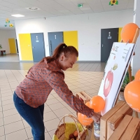 Zdjęcie: Akcja Jabłuszko 2023-24