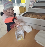 Zdjęcie: Podsumowanie akcji 