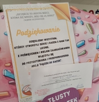 Zdjęcie: Podsumowanie akcji 