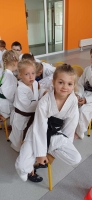 Zdjęcie: Festiwal sportu