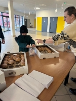 Zdjęcie: Podsumowanie Akcji Pączki do Rączki