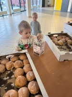 Zdjęcie: Podsumowanie Akcji Pączki do Rączki